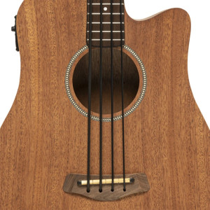 Gold Tone M-bass25