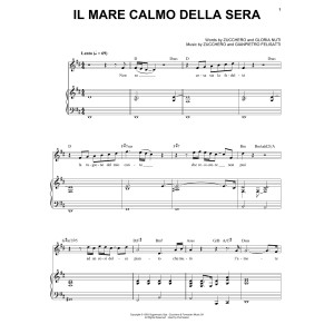 Il Mare Calmo Della Sera