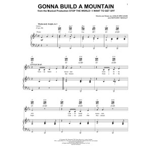 Gonna Build A Mountain