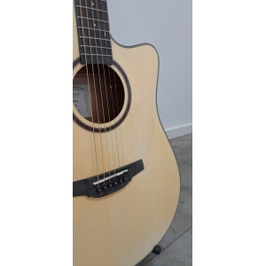 Crafter Hd100-ce-n