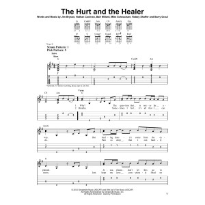 The Hurt And The Healer