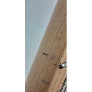 Crafter Charlote Sm Db