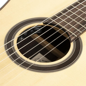 Crafter Snt 20ce Pro