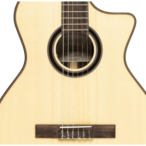 Crafter Snt 20ce Pro