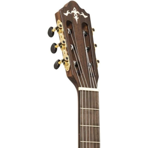 Crafter Snt 20ce Pro