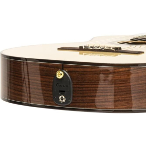 Crafter Snt 20ce Pro