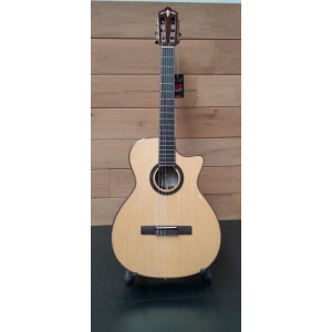 Crafter Snt 20ce Pro