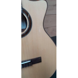 Crafter Snt 20ce Pro