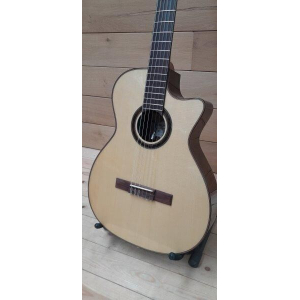 Crafter Snt 20ce Pro
