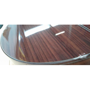 Crafter Snt 20ce Pro