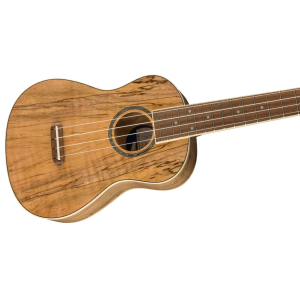 Fender Zuma Exotic Concert Ukulele