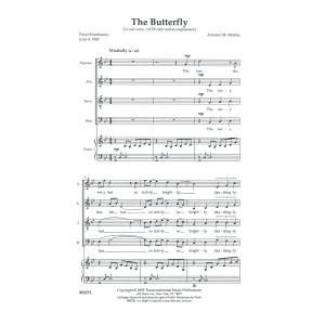 The Butterfly