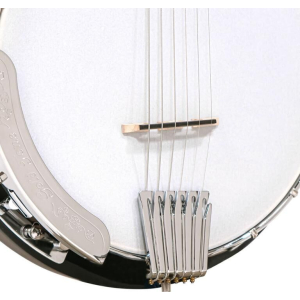 Gold Tone Cc-banjitar