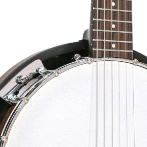 Gold Tone Cc-banjitar