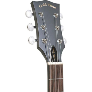 Gold Tone Cc-banjitar