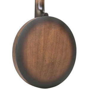 Gold Tone Cc-banjitar