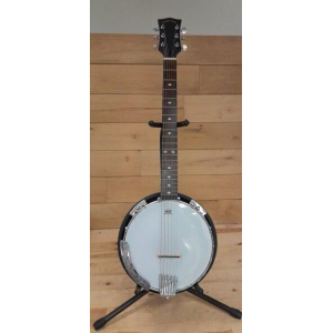 Gold Tone Cc-banjitar