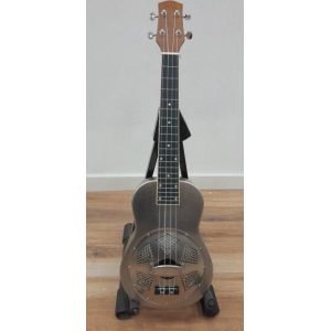 Gold Tone 202502/0033