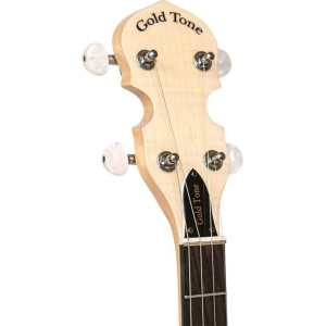 Gold Tone Cc-tenor