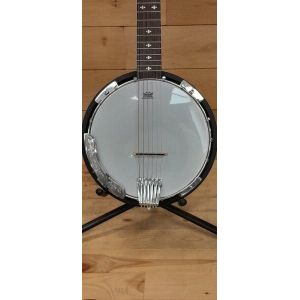 Gold Tone Cc-banjitar