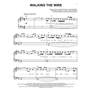Walking The Wire