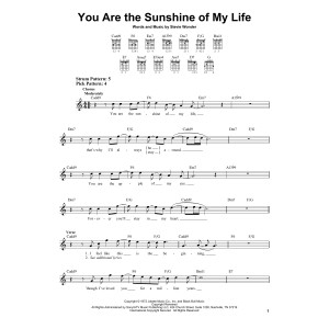 You Are The Sunshine Of My Life