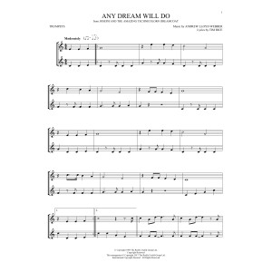 Any Dream Will Do (from Joseph And The Amazing Technicolor Dreamcoat)