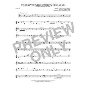 Wishing You Were Somehow Here Again (from The Phantom Of The Opera)