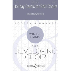 Holiday Carols for SAB Choirs