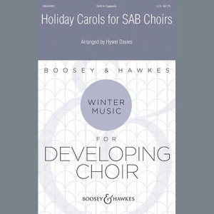 Holiday Carols for SAB Choirs