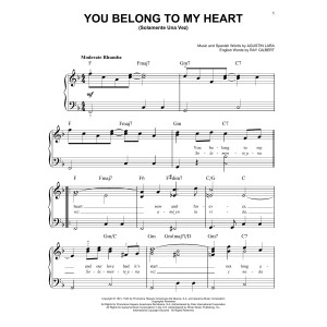 You Belong To My Heart (Solamente Una Vez)