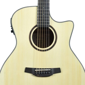 Crafter Hg100-ce-n