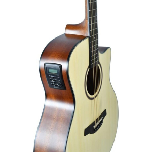 Crafter Hg100-ce-n