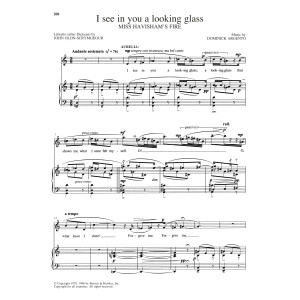 I See In You A Looking Glass