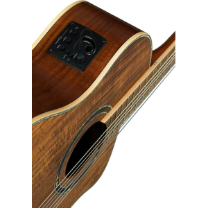 Ortega Guitare 30 Anniversaire