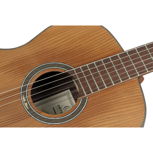 Ortega Guitare Thermo, Epicea