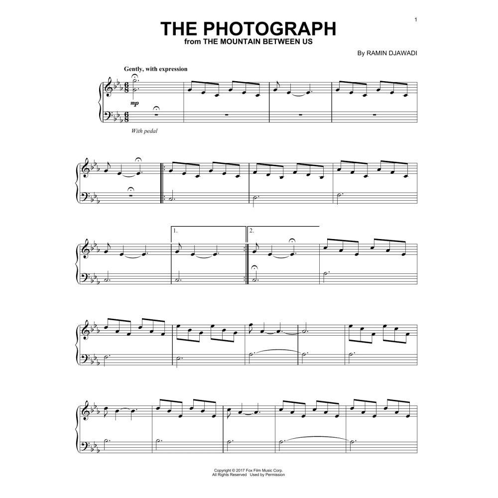 The Photograph (from The Mountain Between Us)