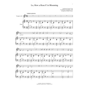 Lo, How A Rose E'er Blooming
