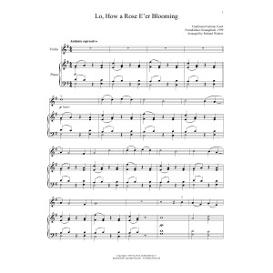 Lo, How A Rose E'er Blooming