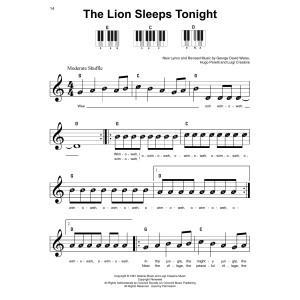 The Lion Sleeps Tonight