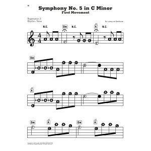 Symphony No. 5 In C Minor, First Movement Excerpt