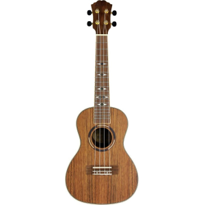 Alabama Ukulele Concert Hickory