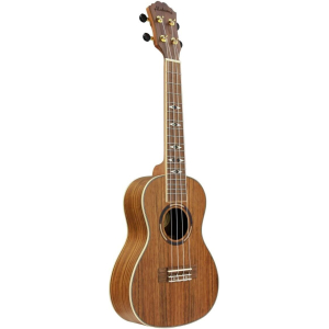 Alabama Ukulele Concert Hickory