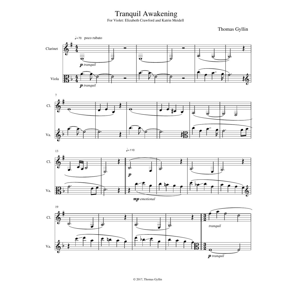 Tranquil Awakening