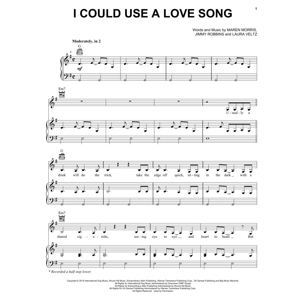 I Could Use A Love Song