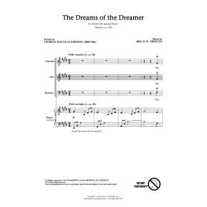 The Dreams Of The Dreamer
