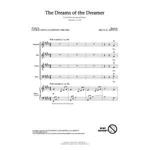 The Dreams Of The Dreamer