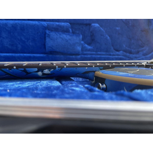 Vigier es una reconocida marca francesa de guitarras eléctricas y bajos. Con una larga tradición en la fabricación de 
