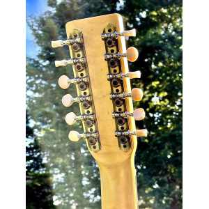 Norman B50 12 Natural SG Element