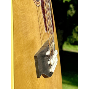 Norman B50 12 Natural SG Element